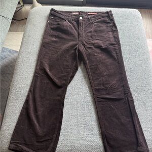 Pilcro by Anthropologie Women's Brown Cords